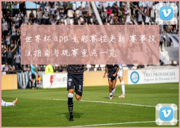 世界杯 app 竞彩赛程更新 赛事投注指南与观赛重点一览