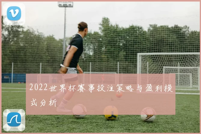 2022世界杯赛事投注策略与盈利模式分析