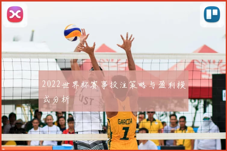 2022世界杯赛事投注策略与盈利模式分析