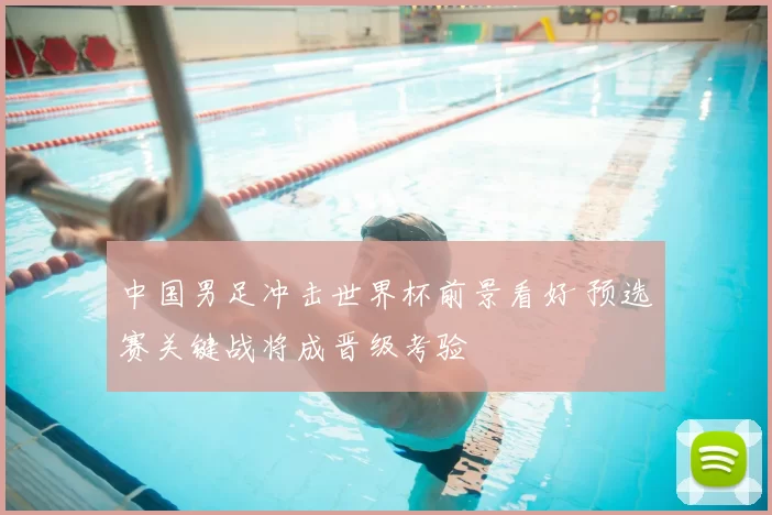 中国男足冲击世界杯前景看好 预选赛关键战将成晋级考验